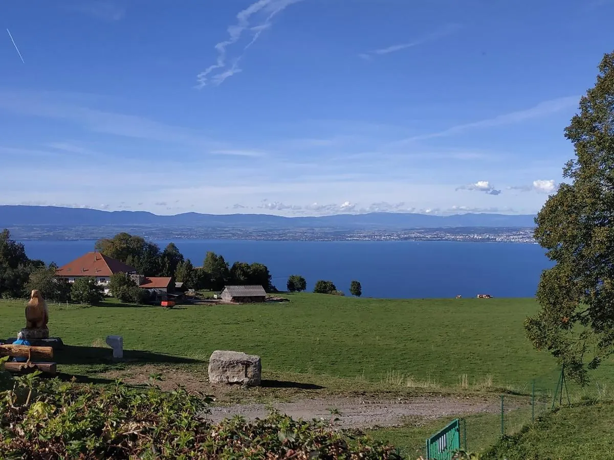 *** 게스트하우스 Maison D'Hotes Des Bassins D'Oche Saint-Paul-en-Chablais 프랑스